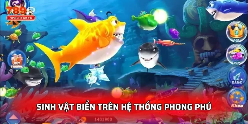 Sinh vật biển trên hệ thống phong phú